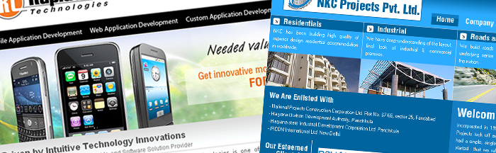 Rapidsoft Technologies